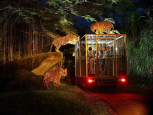 family-private-tour-ubud-safari-natya-bali-tour