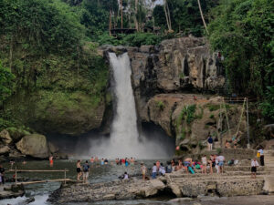 family-private-tour-ubud-safari-natya-bali-tour