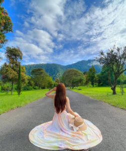 northern-bali-private-tour-jatiluwih-waterfall