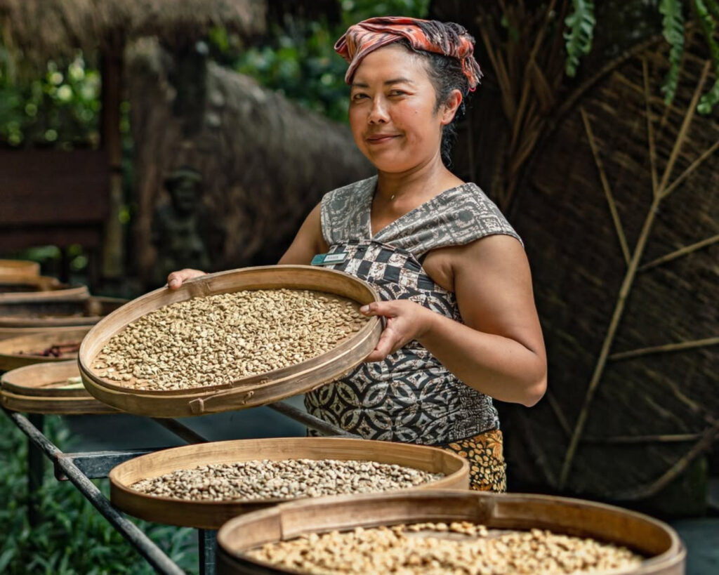 Coffee Palntations Bali Private Tour Natya Bali Tour