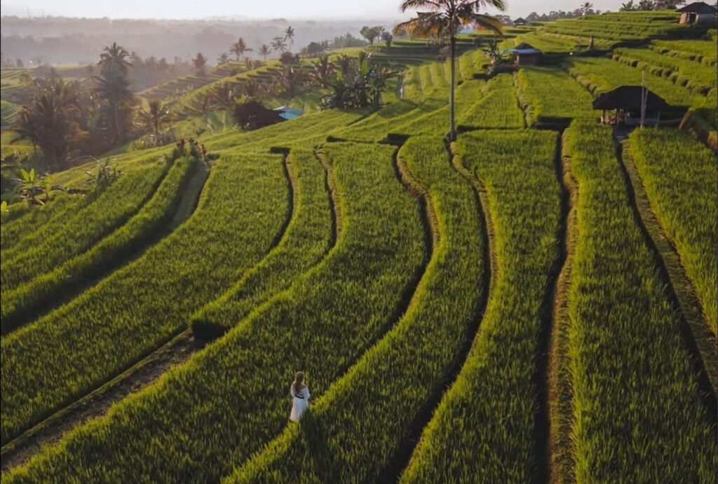 North-bali-private-tour