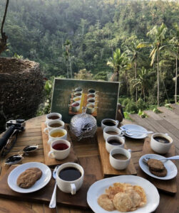 bali-coffee-plantations-natya-bali-tour