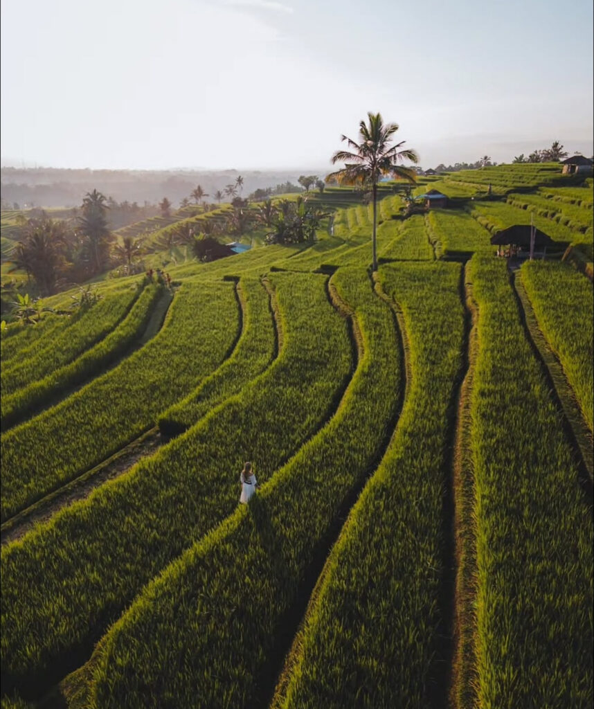 northern-bali-Private-tour-jatiluwih-waterfall